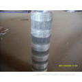High Quality Hog Wire Fence in Competitive Price